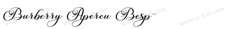 Burberry Apercu Besp字体转换